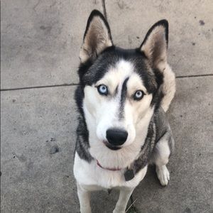 Meet your Posher, Sandra